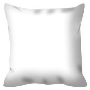 Featured Product: An Outdoor Pillow