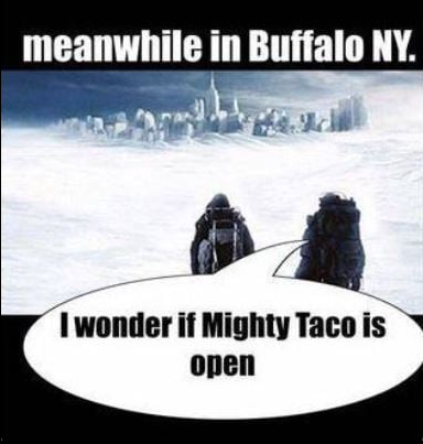 Read more about the article We Can’t Get Enough Buffalo Memes